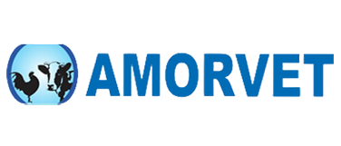 amorvet
