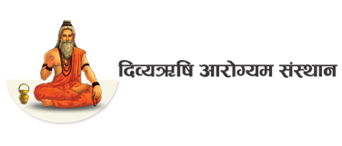 np-logo